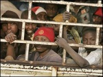 Displaced Persons